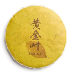 Bing Cha bio