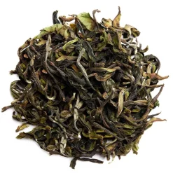 Kalapani Barsha bio
