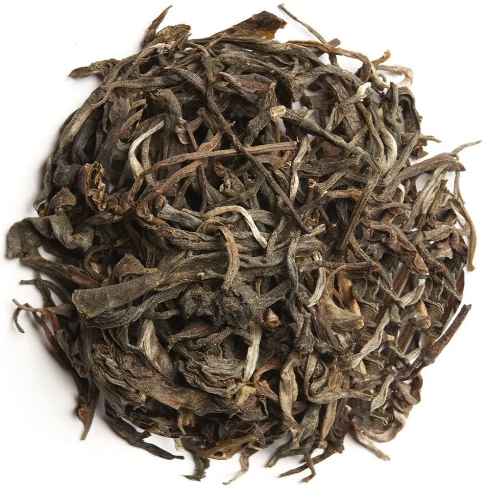 Mao Cha 2022 de Cao Bo bio