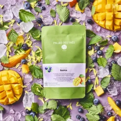 Thé glacé Bahia bio