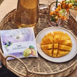 Thé glacé Bahia bio